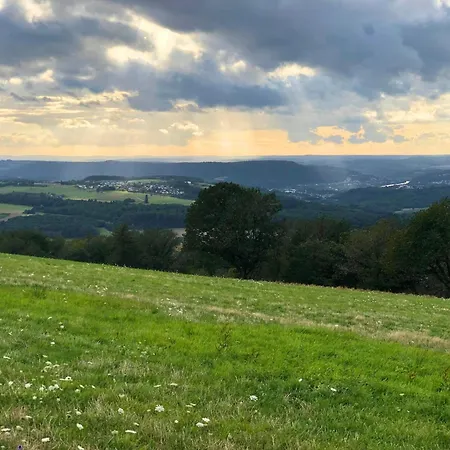 In Pellingen Near Saar-hunsrueck Park *