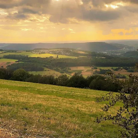 In Pellingen Near Saar-hunsrueck Park Apartment *